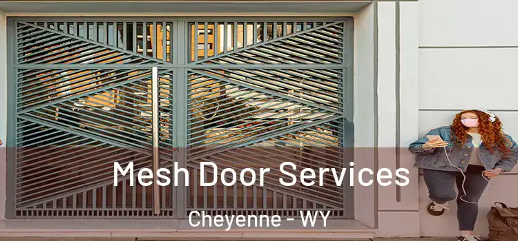 Mesh Door Services Cheyenne - WY